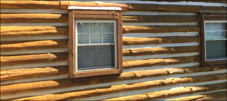 Log Home Whole Log Replacement  Lyon County, Kentucky